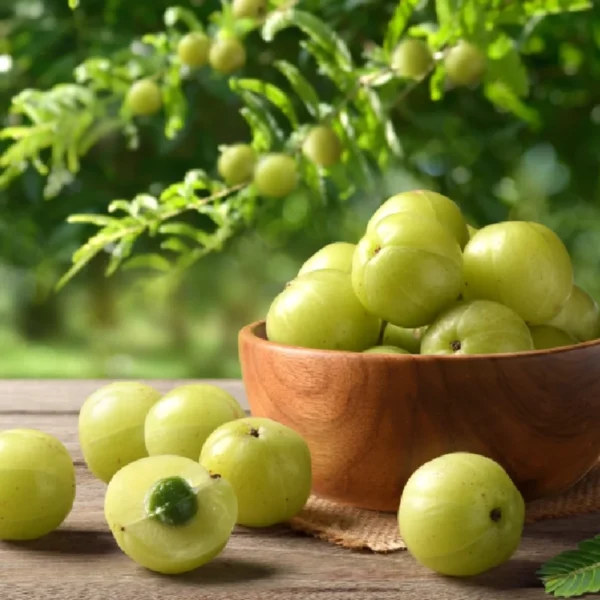 Amla