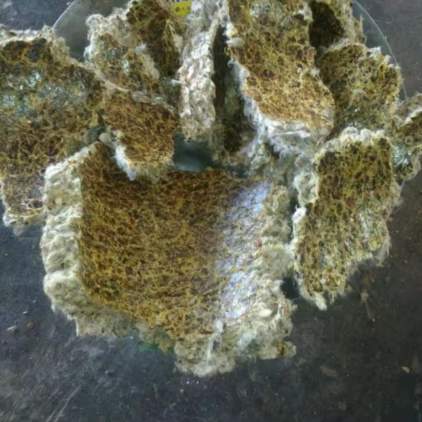 Cotton Seeds oil Cake