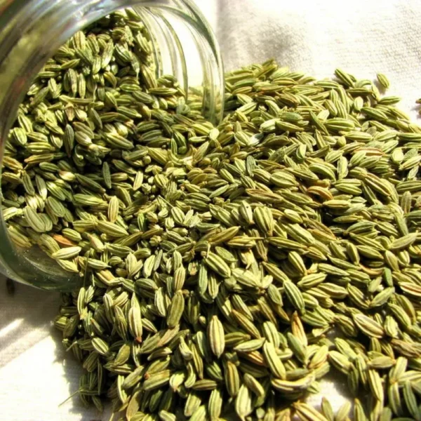 Fennel Seeds