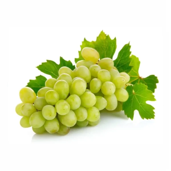 Fresh Green Grapes