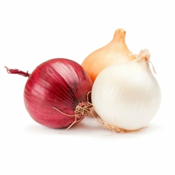 Onion