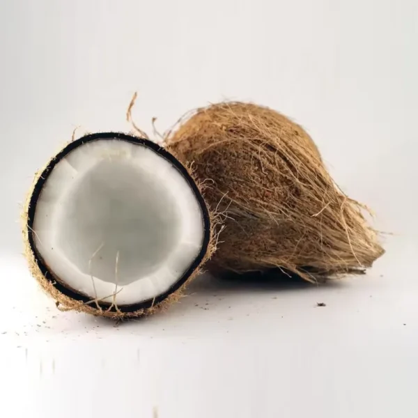 Semi Husked Coconuts